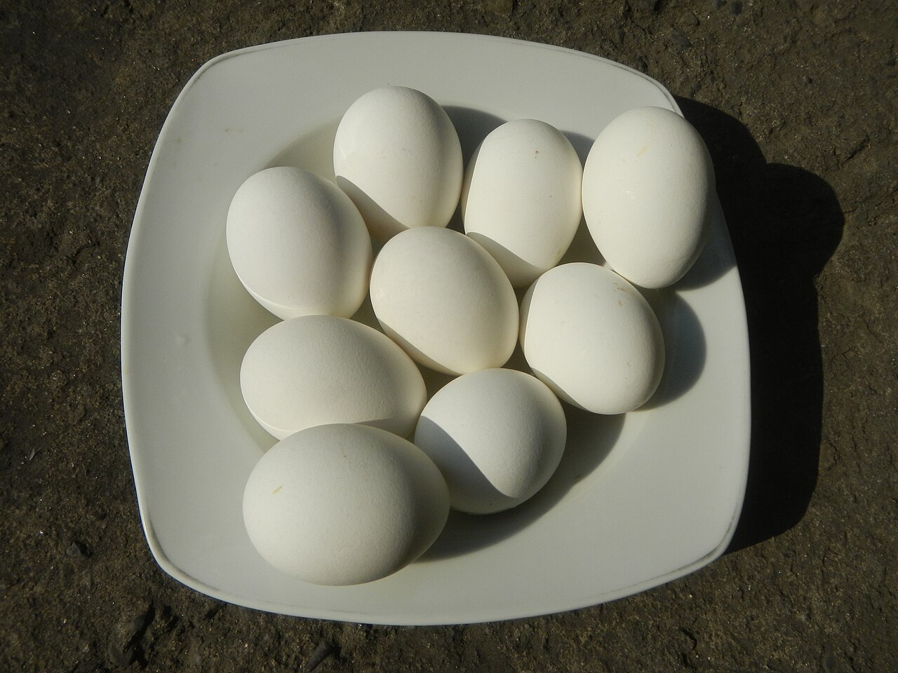 A white plate of boiled eggs