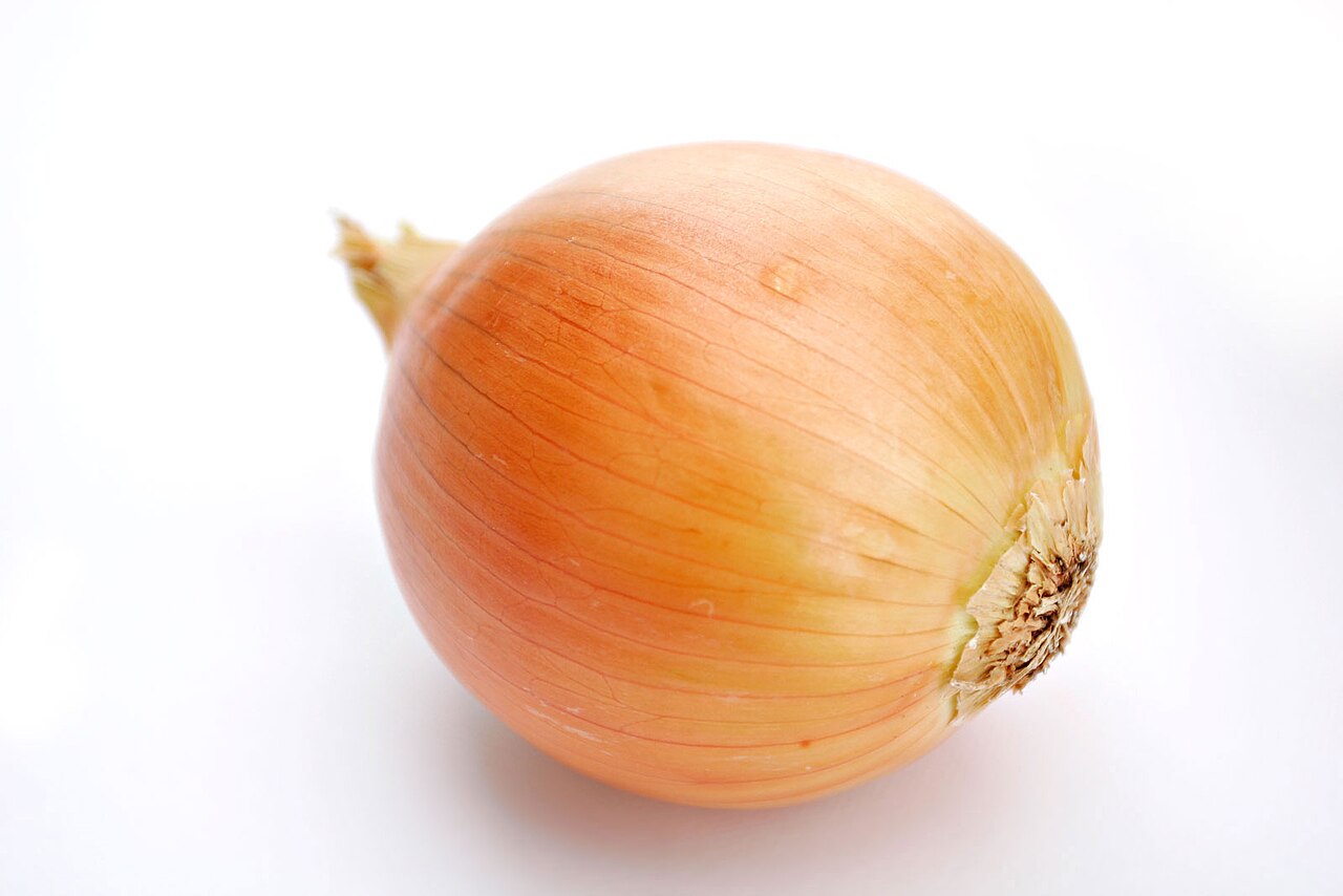 A golden onion on a white background