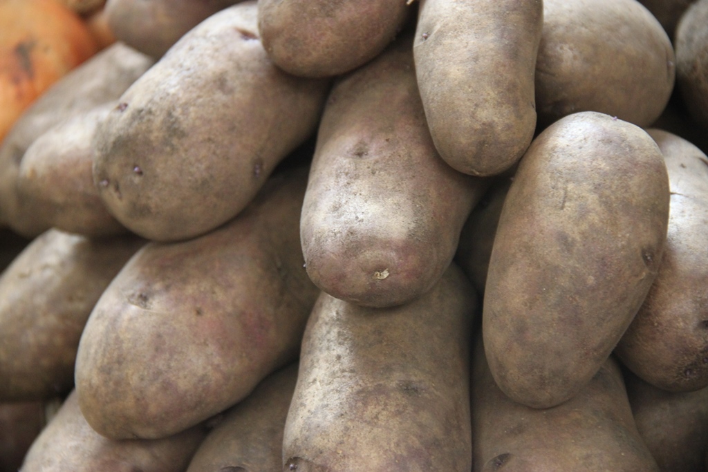 A pile of brown potatoes