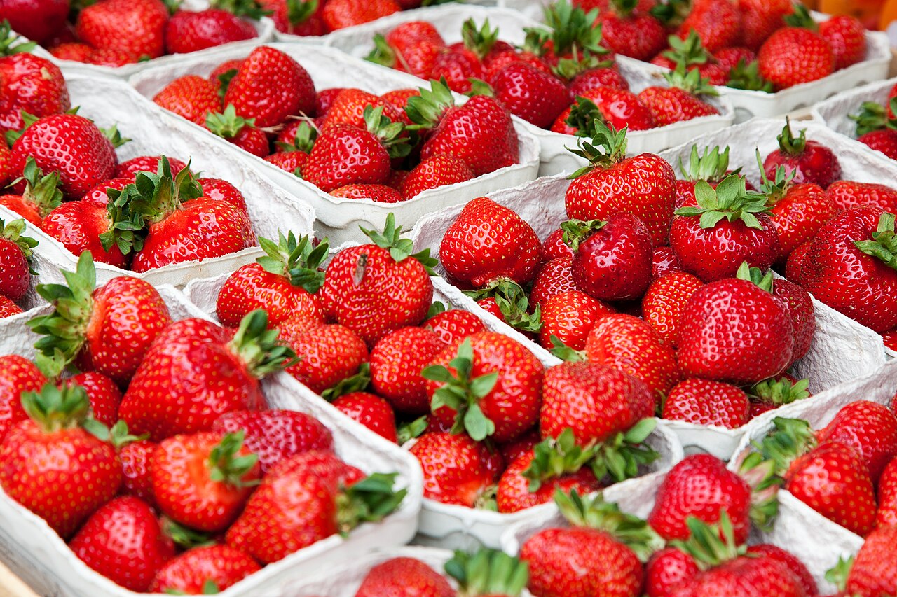 Boxes of fresh red strawberries